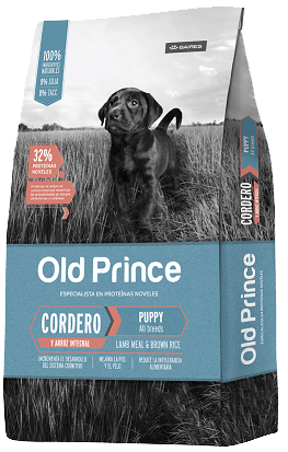 old ptince cordero cachorro
